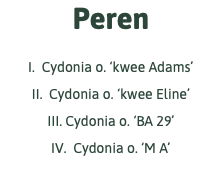 Peren I. Cydonia o. ‘kwee Adams’ II. Cydonia o. ‘kwee Eline’ III. Cydonia o. ‘BA 29’ IV. Cydonia o. ‘M A’